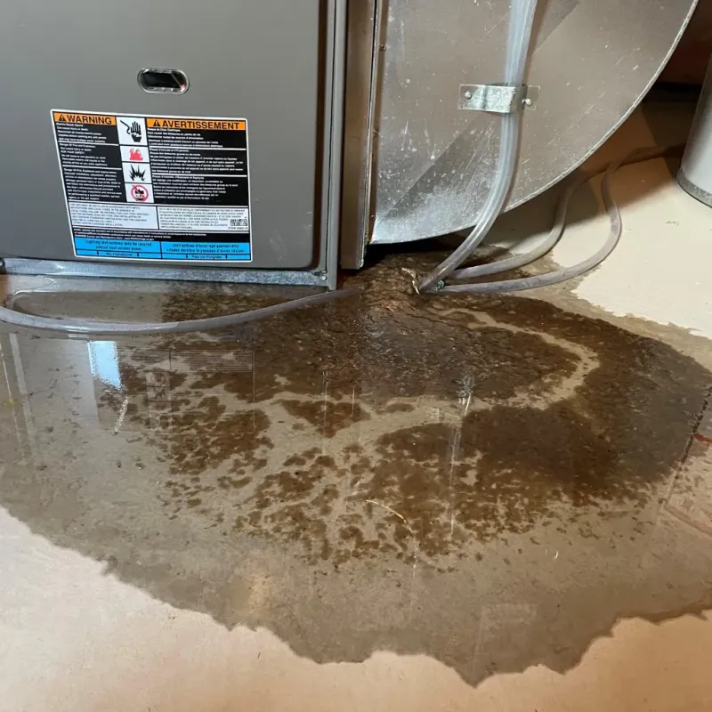 Appliance Leak Cleanup in Fernley, NV